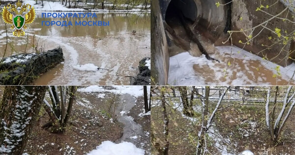 Прокуратура приступила к проверке после загрязнения двух прудов в ТиНАО